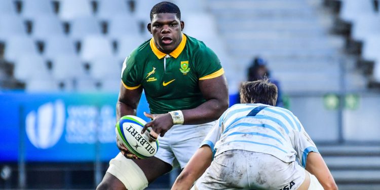 Rugby Championship: Tres Junior Springboks vivirán una gran experiencia