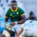 Rugby Championship: Tres Junior Springboks vivirán una gran experiencia
