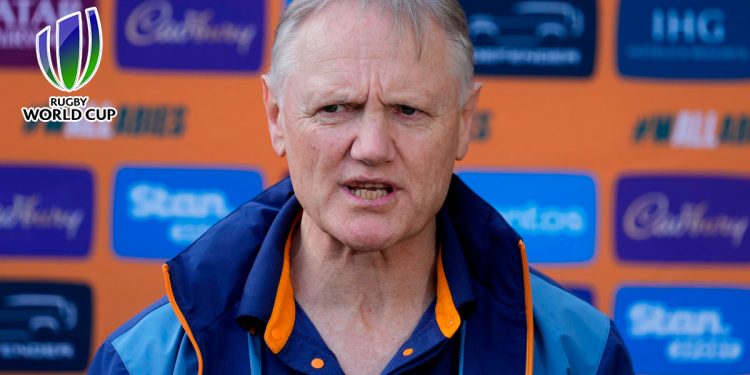 ¡World Rugby le contestó de forma dura a Joe Schmidt!