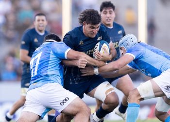 Ventana internacional: Los Pumas ganaron en Salta y ahora piensan en los All Blacks