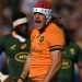 Rugby Championship: McReight será capitán de los Wallabies, y Toole debutará contra los Springboks