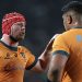 Rugby Championship: Australia confirmó su plantel para recibir a Los Pumas