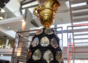 Final Currie Cup 2025: Lions vs Griquas en Ellis Park