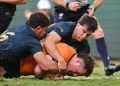 Wallabies: McDermott pide no caer en la complacencia de cara a Los Pumas