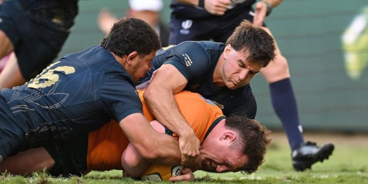 Wallabies: McDermott pide no caer en la complacencia de cara a Los Pumas