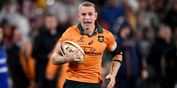 Los Wallabies buscan revancha ante Los Pumas en Townsville