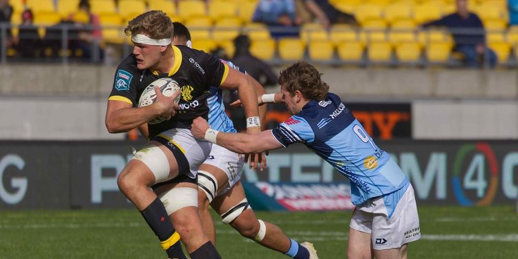 NPC 2025: Arranca la séptima fecha con Northland y Wellington como protagonistas