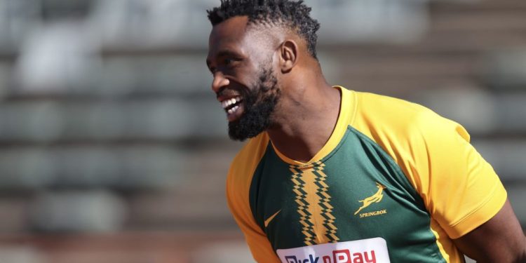 Springboks: preocupaciones por lesiones en la previa al duelo con los All Blacks