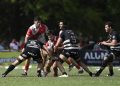 Jockey CC y Tala RC definirán el Top 10 A del rugby cordobés